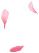 Floating petal